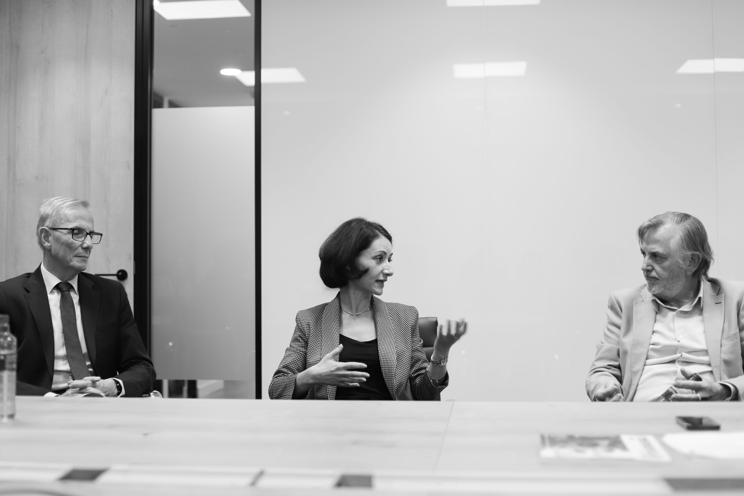 MFhaciaDentro_Shionogi (21)